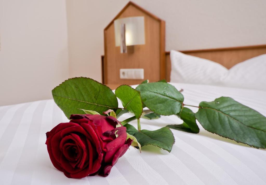 Serviced Apartments Kurpfalzhof Oftersheim Rom bilde