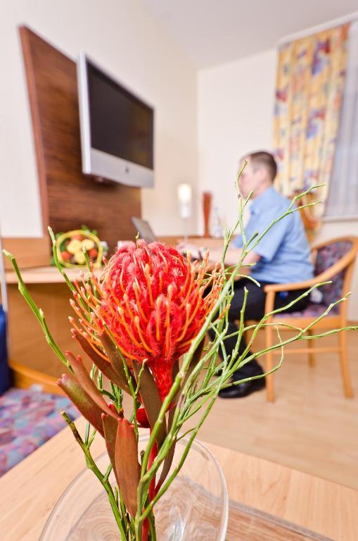 Serviced Apartments Kurpfalzhof Oftersheim Rom bilde