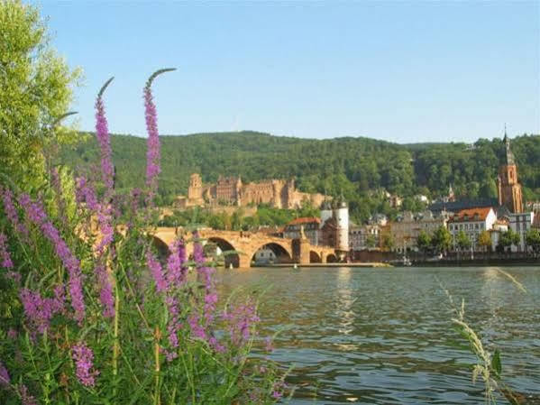 Serviced Apartments Kurpfalzhof Oftersheim Eksteriør bilde