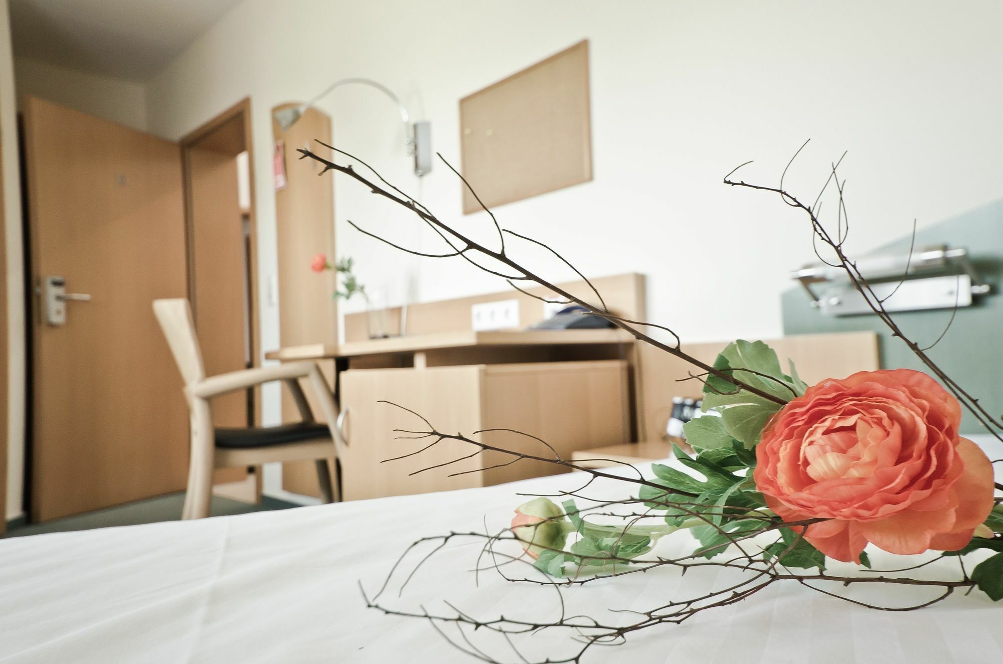Serviced Apartments Kurpfalzhof Oftersheim Eksteriør bilde
